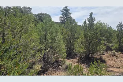 Lot 7892 Tiernan Road, Fort Garland, CO 81133 - Photo 15