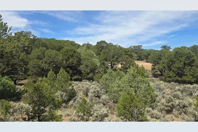 Lot 7892 Tiernan Road, Fort Garland, CO 81133 - Photo 5