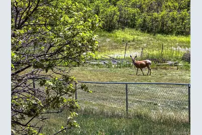 2938 Wolfensberger Road, Sedalia, CO 80135 - Photo 17