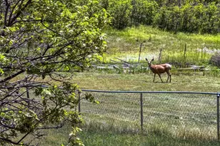 2938 Wolfensberger Rd, Sedalia, CO 80135 - Photo 17
