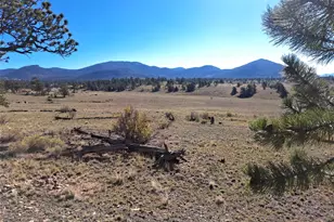 508 Grand Teton Dr, Hartsel, CO 80449 - Photo 1