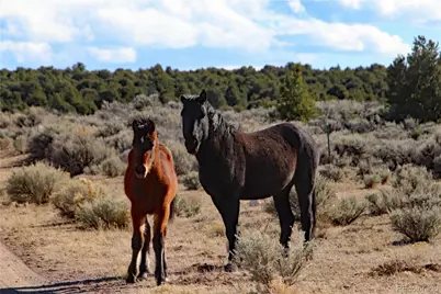 Parcel 17 Alta Mesa Drive, San Luis, CO 81152 - Photo 1