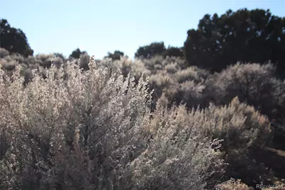 Parcel 17 Alta Mesa Drive, San Luis, CO 81152 - Photo 21