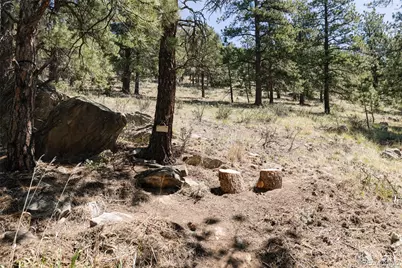 1898 Kerr Gulch Road, Evergreen, CO 80439 - Photo 27