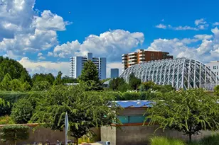 1157 Elizabeth St, Denver, CO 80206 - Photo 33