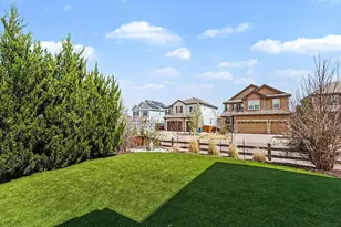 14317 Double Dutch Loop, Parker, CO 80134 - Photo 41