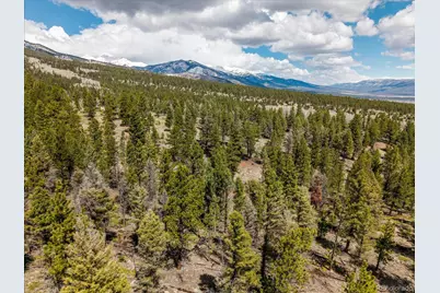 24900 County Road 339, Buena Vista, CO 81211 - Photo 9