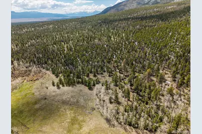 24900 County Road 339, Buena Vista, CO 81211 - Photo 13