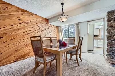 4484 Juniper Court, Larkspur, CO 80118 - Photo 9