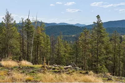 8570 S Warhawk Road, Conifer, CO 80433 - Photo 3