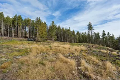 8570 S Warhawk Road, Conifer, CO 80433 - Photo 11