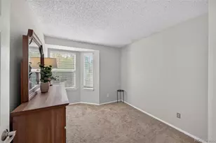 6363 Laguna Cir, Highlands Ranch, CO 80130 - Photo 19