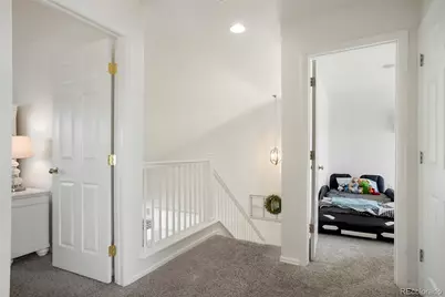 228 Peabody Street, Castle Rock, CO 80104 - Photo 13