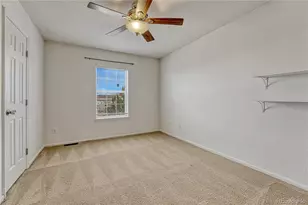 3641 Dinosaur St, Castle Rock, CO 80109 - Photo 23