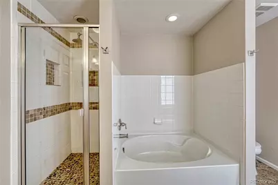 3641 Dinosaur Street, Castle Rock, CO 80109 - Photo 21