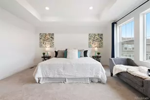 9092 Zeta Pass Ct, Parker, CO 80134 - Photo 21