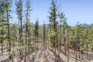 15 Gi-Gi Ln, Evergreen, CO 80439 - Photo 25