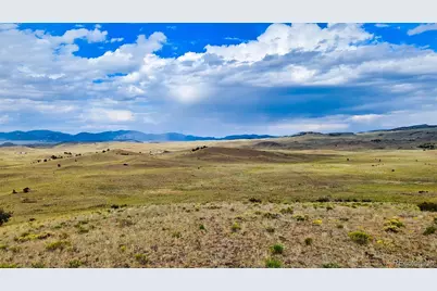 631 Dwyer Trail, Hartsel, CO 80449 - Photo 25