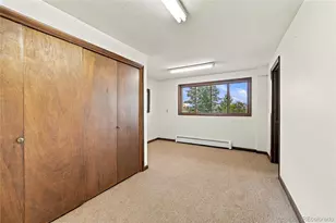6841 Pike Pl, Larkspur, CO 80118 - Photo 23