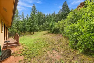 6841 Pike Pl, Larkspur, CO 80118 - Photo 35