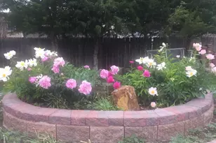 352 S Main St, Byers, CO 80103 - Photo 5