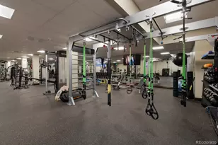 11415 Birolli Pl, Littleton, CO 80125 - Photo 45