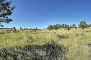 1106 Hull Ave, Westcliffe, CO 81252 - Photo 27