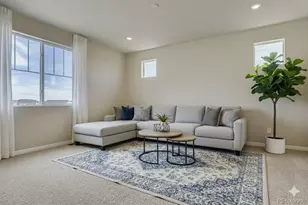 13767 Daffodil Way, Parker, CO 80134 - Photo 15