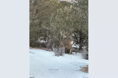 3818 Fontaine Road, Fort Garland, CO 81133 - Photo 41