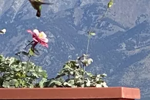 3818 Fontaine Rd, Fort Garland, CO 81133 - Photo 49