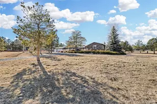 29704 Paint Brush Dr, Evergreen, CO 80439 - Photo 19