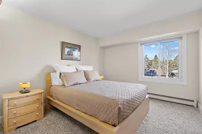 29704 Paint Brush Drive, Evergreen, CO 80439 - Photo 11