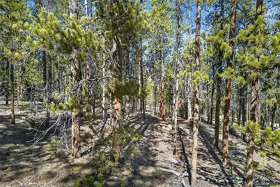 312 Mt Massive Road, Twin Lakes, CO 81251 - Photo 25