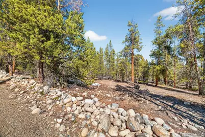 312 Mt Massive Road, Twin Lakes, CO 81251 - Photo 7