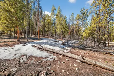 312 Mt Massive Road, Twin Lakes, CO 81251 - Photo 5