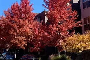 457 S Reed, Lakewood, CO 80226 - Photo 29