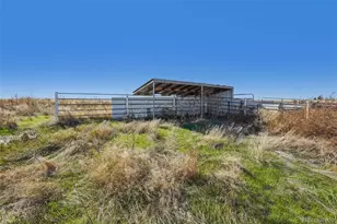 45595 Cottonwood Lane, Deer Trail, CO 80105 - Photo 39