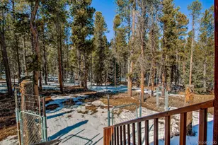 154 Lakeside Dr, Fairplay, CO 80440 - Photo 43