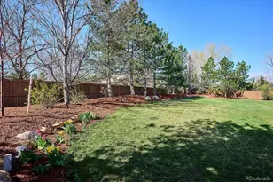 3970 White Bay Dr, Highlands Ranch, CO 80126 - Photo 31