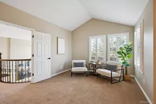 3970 White Bay Dr, Highlands Ranch, CO 80126 - Photo 17