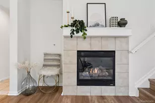 10747 Towerbridge Cir, Highlands Ranch, CO 80130 - Photo 11