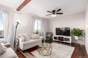 6193 Brantly Ave, Castle Rock, CO 80104 - Photo 7