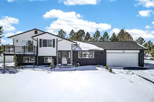 9232 N Surrey Dr, Castle Rock, CO 80108 - Photo 9