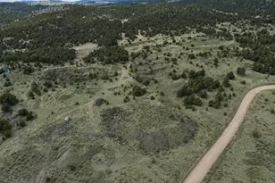 43 Prairie Dog Ln, Cotopaxi, CO 81223 - Photo 1
