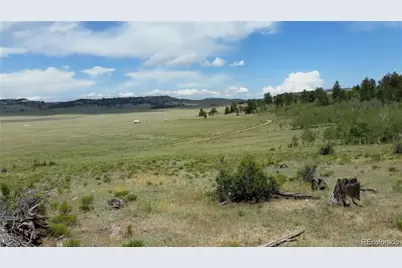 1681 Athapascan Road, Hartsel, CO 80449 - Photo 7