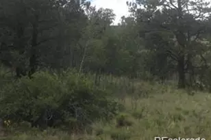 1681 Athapascan Rd, Hartsel, CO 80449 - Photo 1