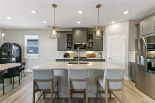 3885 Red Valley Cir, Castle Rock, CO 80104 - Photo 11