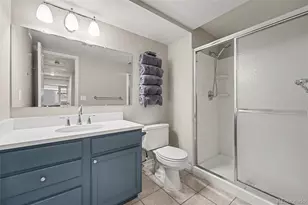 9855 Spring Hill St, Highlands Ranch, CO 80129 - Photo 39