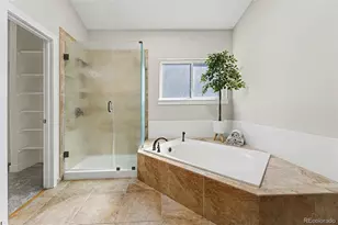 9855 Spring Hill St, Highlands Ranch, CO 80129 - Photo 29