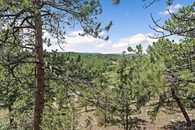 168 Juniper Lane, Bailey, CO 80421 - Photo 17